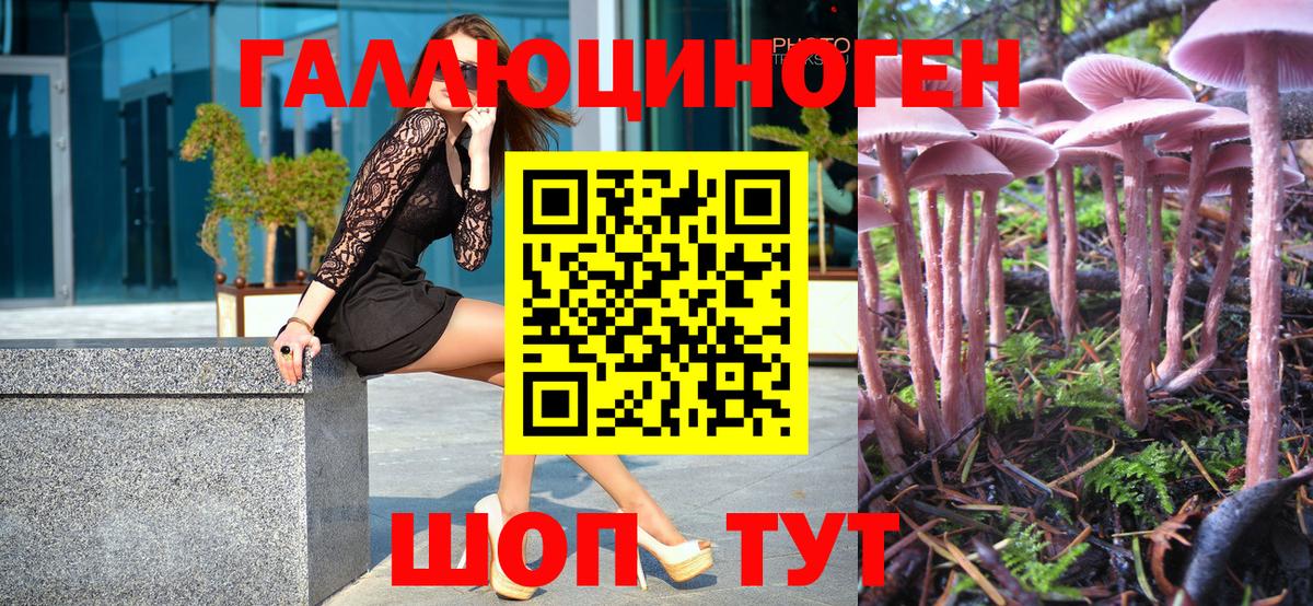 Псилоцибиновые грибы Psilocybe Лянтор